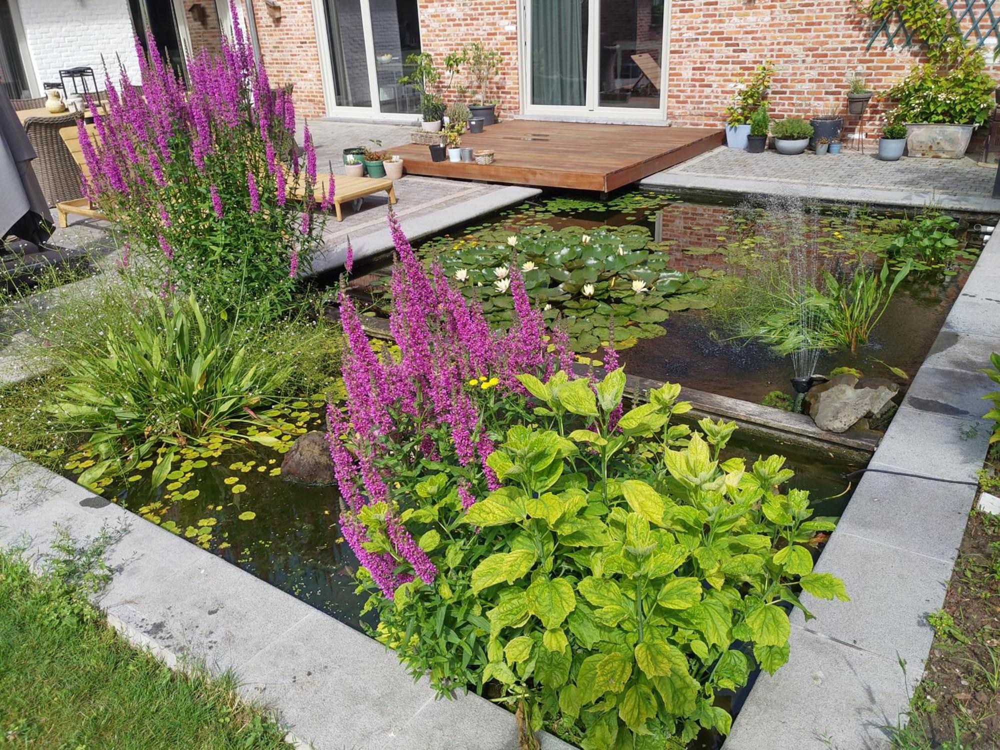 Villa The Two Oaks - Private Garden For Guests Hertsberge Exterior foto