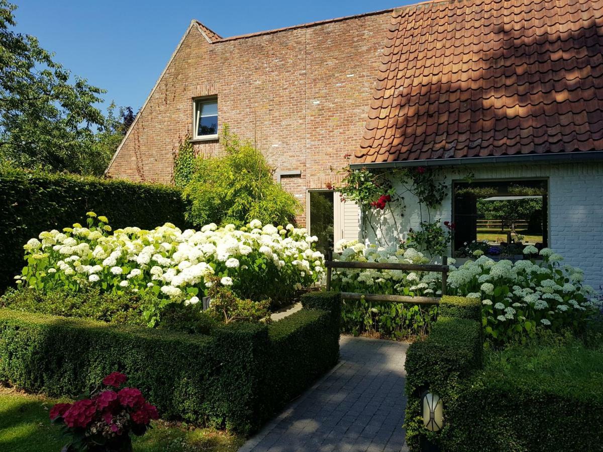 Villa The Two Oaks - Private Garden For Guests Hertsberge Exterior foto